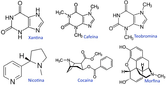 Resultado de imagen para alcaloides