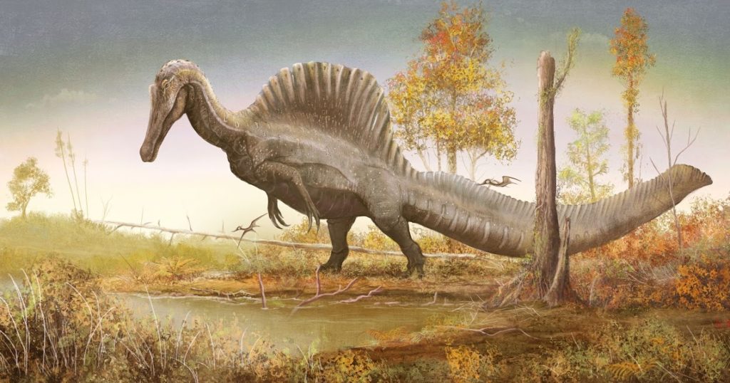 La evolución de Spinosaurus Hablando de Ciencia