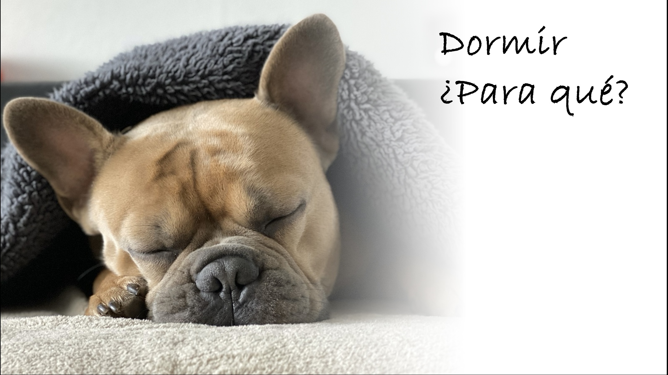 Imagen de Pixabay. Dormir, ¿para qué?